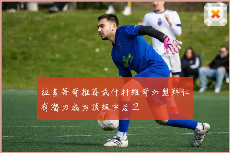 拉基蒂奇推荐武什科维奇加盟拜仁有潜力成为顶级中后卫