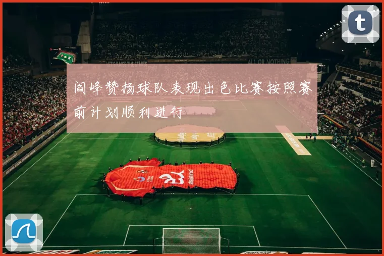 阎峰赞扬球队表现出色比赛按照赛前计划顺利进行