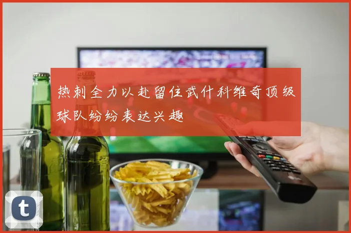 热刺全力以赴留住武什科维奇顶级球队纷纷表达兴趣